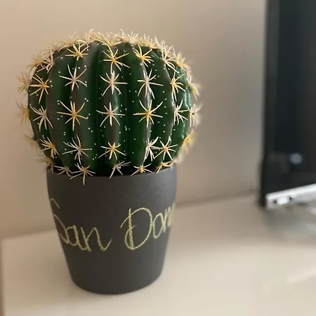 Bed & Breakfast San Domenico Bari